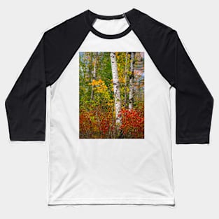 Fall colors Baseball T-Shirt